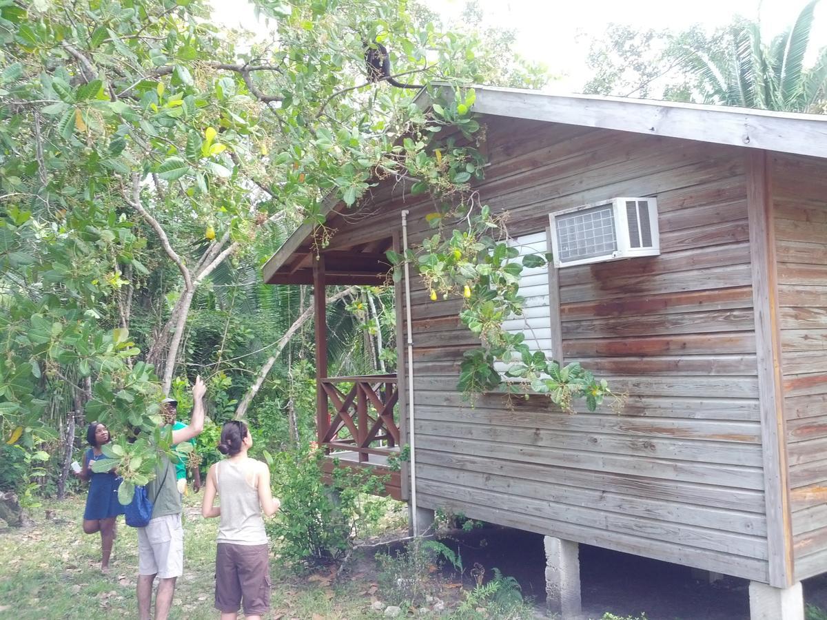 Nature Resort Bermudian Landing Exterior foto