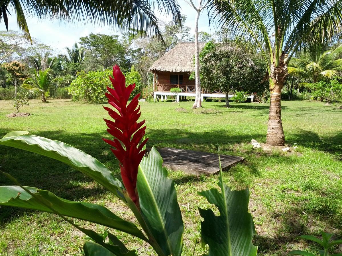Nature Resort Bermudian Landing Exterior foto