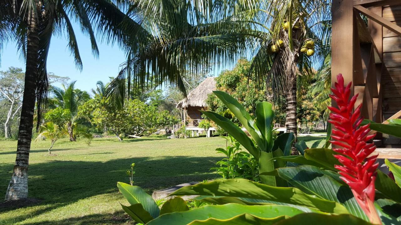 Nature Resort Bermudian Landing Exterior foto